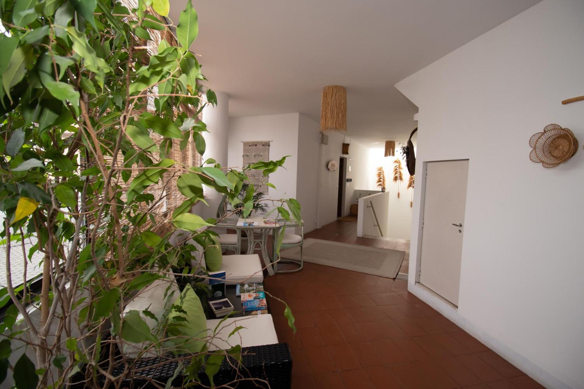 Villa Center - Alojamento Local Grândola 外观 照片
